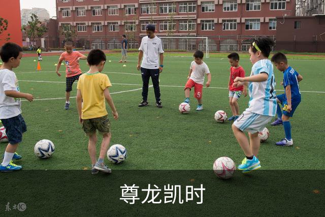 尊龙凯时公司简介图片